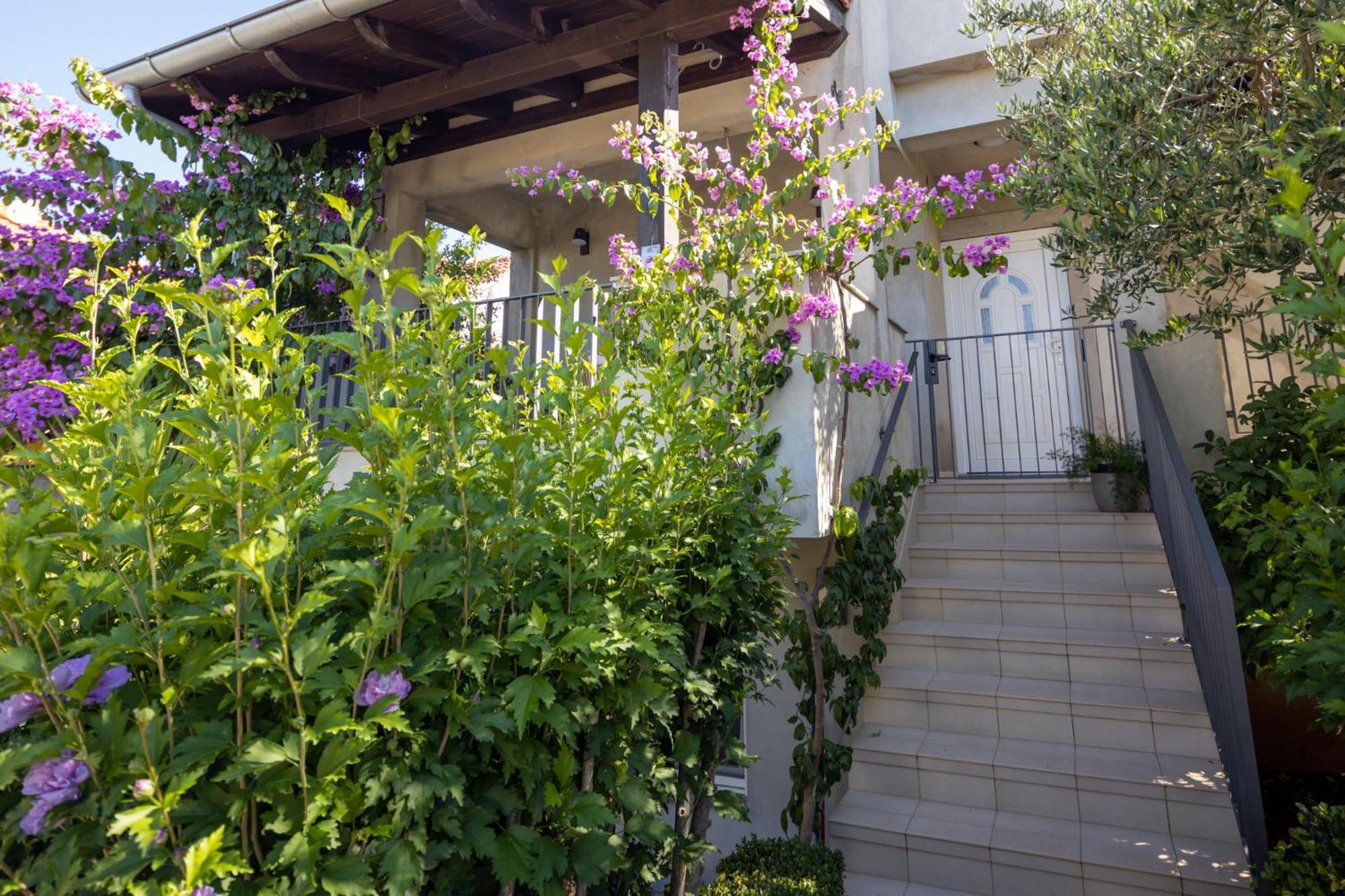 Lumaja Luxury Apartman Biograd Na Moru Exterior foto